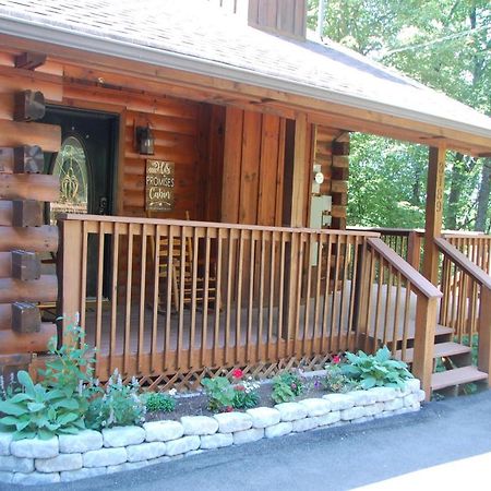 פיג'ן פורג' His Promises Cabin מראה חיצוני תמונה